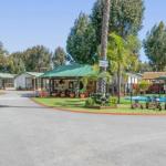 Mandurah Caravan & Tourist Park - Accommodation Newcastle 1