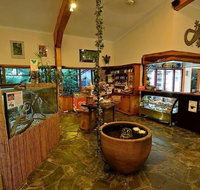 Lync Haven Rain Forest Retreat - Accommodation Newcastle
