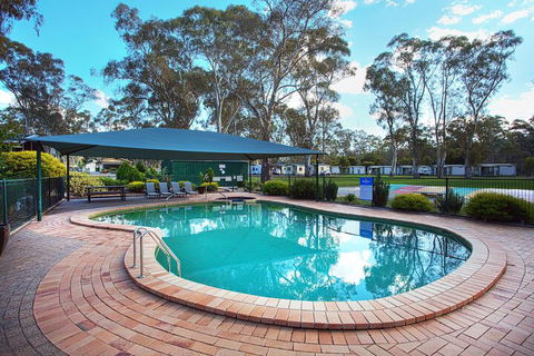 Discovery Parks â€“ Clare - Accommodation Newcastle 3