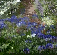 Yallambee - Accommodation Newcastle