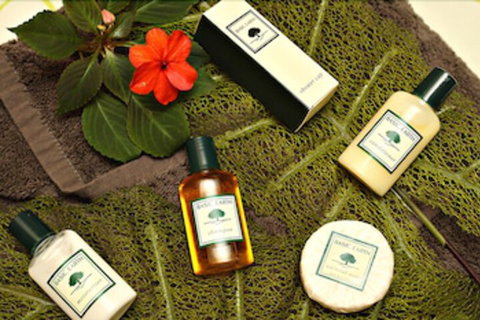 Mapleton Cabins & Caravan Park - Accommodation Newcastle 7