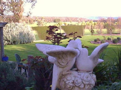 Springbank Bed & Breakfast - Accommodation Newcastle 6