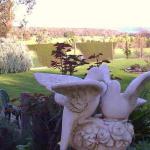 Springbank Bed & Breakfast - Accommodation Newcastle 0