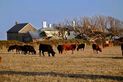 Cable Station Accommodation - Accommodation Newcastle 5