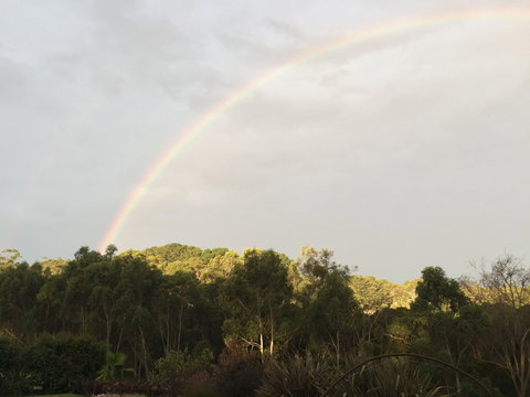 Anderida - Accommodation Newcastle 0