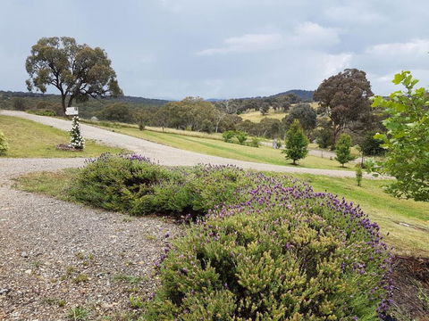 Grace Cottages - Accommodation Newcastle 5