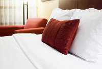 Executive Oasis Armidale - Accommodation Newcastle 0