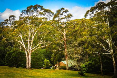 Ghost Hill Road Retreat - Accommodation Newcastle 6