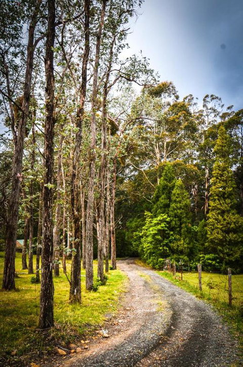 Ghost Hill Road Retreat - Accommodation Newcastle 2