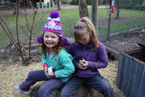 Fernleigh Farmstay & Bike Park - Accommodation Newcastle 3