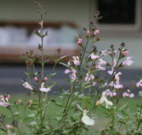 Serendipity on Allyn - Accommodation Newcastle
