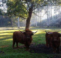 Dingley Dell - Accommodation Newcastle