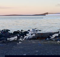 Hilton Motel - Accommodation Newcastle