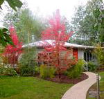 Dalrymples Guest Cottages - Accommodation Newcastle