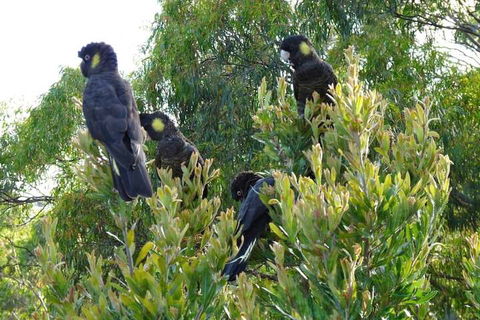 Eagles Rise Tasmania - Accommodation Newcastle 5