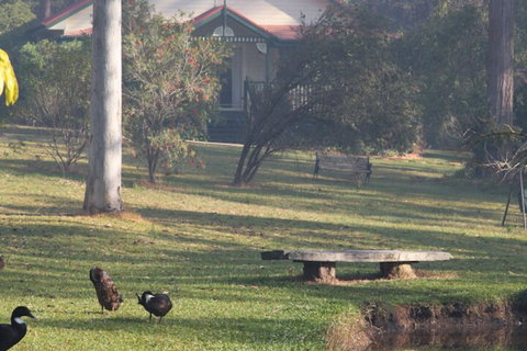 Telegraph Retreat Cottages - Accommodation Newcastle 6