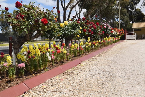 Big River Motel - Accommodation Newcastle 5