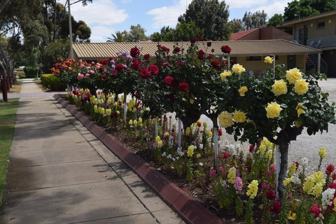 Big River Motel - Accommodation Newcastle 2