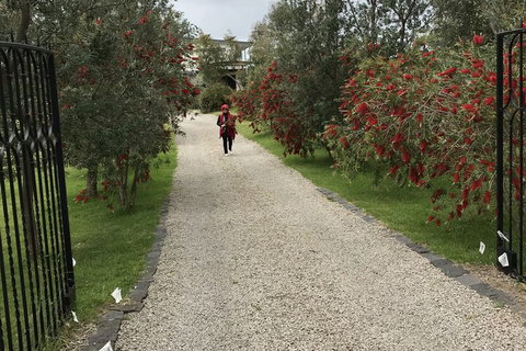 Harmony Bed & Breakfast - Accommodation Newcastle 2