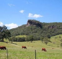 Rosevale House - Accommodation Newcastle