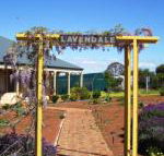 Lavendale Farmstay  Cottages York - Accommodation Newcastle