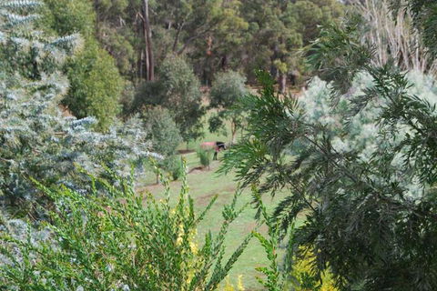 Riverwood Retreat - Accommodation Newcastle 4