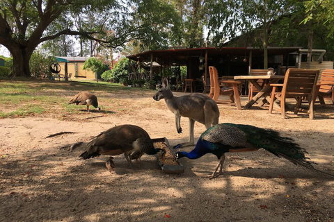 Clandulla Cottages - Accommodation Newcastle 3