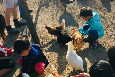 Clandulla Cottages - Accommodation Newcastle 5