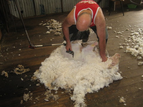 Taras Richmond Farmstay - Accommodation Newcastle 1