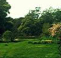 Birdwing Bed  Breakfast Weegena - Accommodation Newcastle