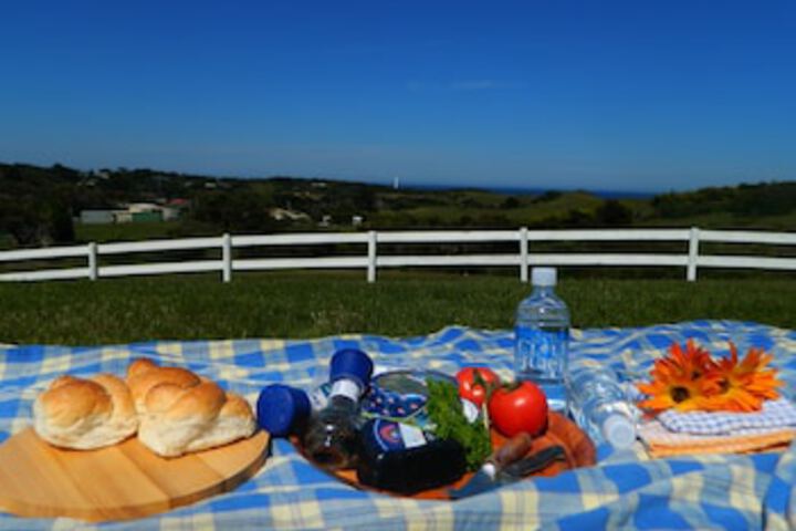 Egg Lagoon TAS Accommodation Newcastle
