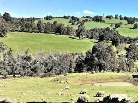 Balingup Highview Chalets - Accommodation Newcastle 0