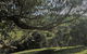 Balingup Highview Chalets - thumb 1