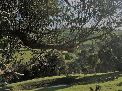 Balingup Highview Chalets - Accommodation Newcastle 1