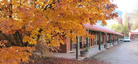 Harrietville Snowline Hotel - Accommodation Newcastle 2