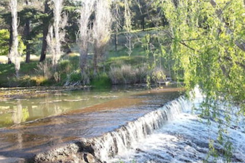 Avocados Accommodation - Accommodation Newcastle 0