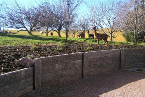 Valleyfield Cottage - Accommodation Newcastle 4
