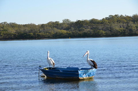 Bayz On The River - Accommodation Newcastle 1