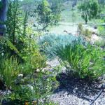 Bowes WA Accommodation Newcastle