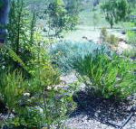 Old Miners Cottages Bed  Breakfast - Accommodation Newcastle