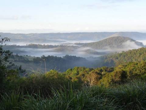 Maleny Luxury Cottages - Accommodation Newcastle 5