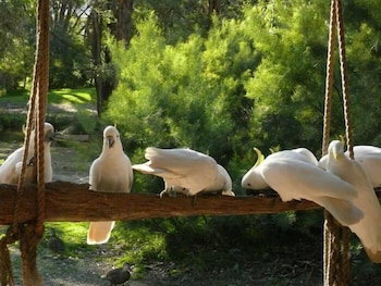 Accommodation Newcastle