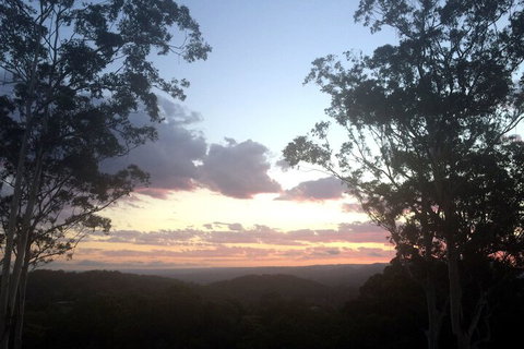 Phoenix Eumundi Bed & Breakfast - Accommodation Newcastle 1