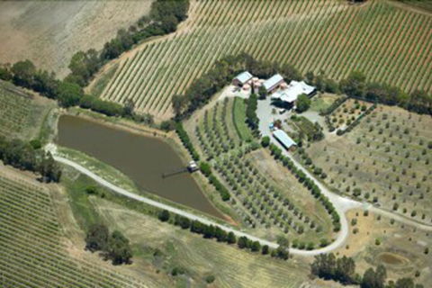 Patly Hill Farm - Accommodation Newcastle 1