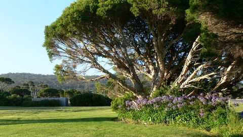 Spring Bay Villas - Accommodation Newcastle 5