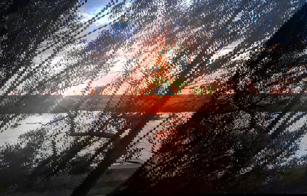  Accommodation Newcastle