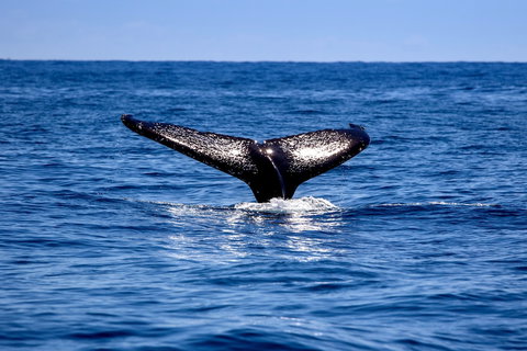 Woolgoolga Beach Holiday Park - Accommodation Newcastle 2