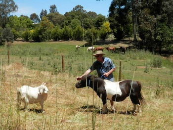 Country Cottages Of Bridgetown - Accommodation Newcastle 0