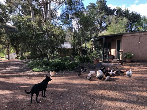 Country Cottages Of Bridgetown - Accommodation Newcastle 4