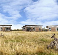 Savannah Cabins - Accommodation Newcastle